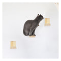 New Pet Products Cat Furniture Wall Plant Cat Products Hot Selling Pet Steps Stairs