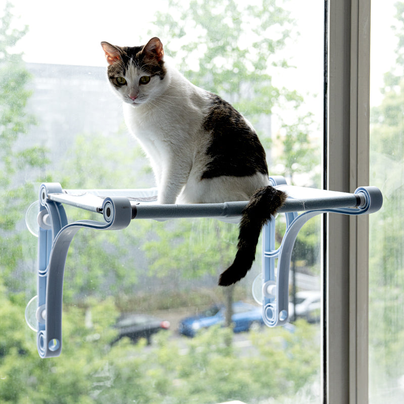 Wholesale Stable Sucker Window Hanging Cat Hammock