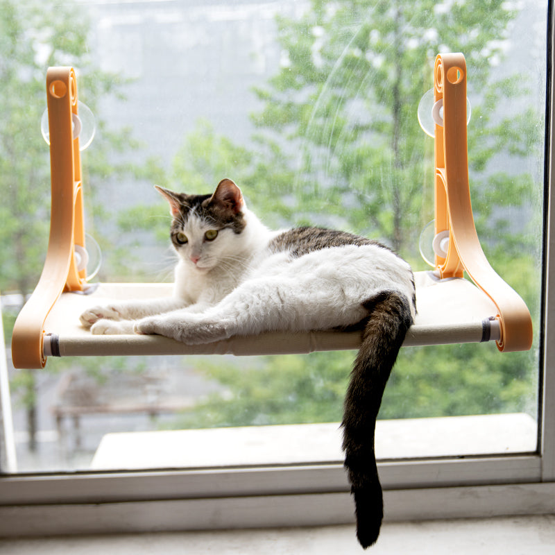 Wholesale Stable Sucker Window Hanging Cat Hammock